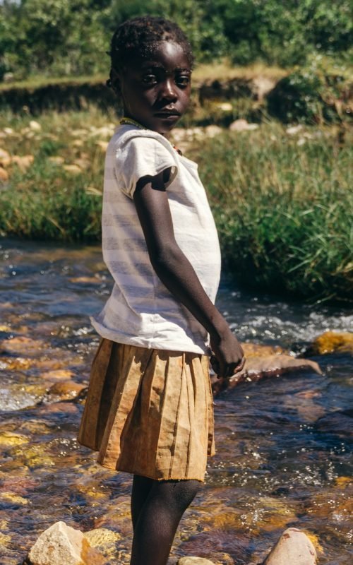 catia-dombaxe-MBoiSx3ft8Y-unsplash